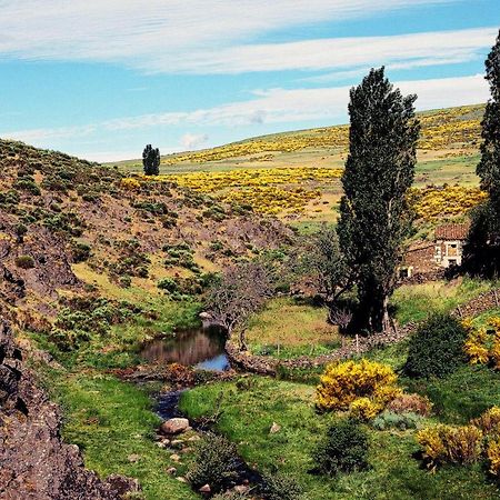 Casa Rural La Vereilla Barajas de Gredos 외부 사진